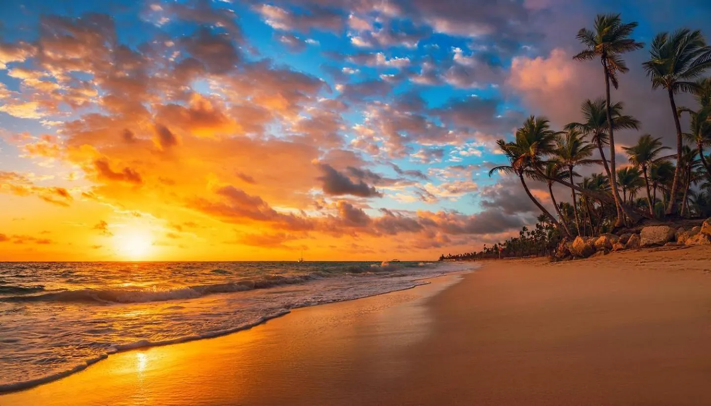Playa Palmera Ocean View Пунта-Кана