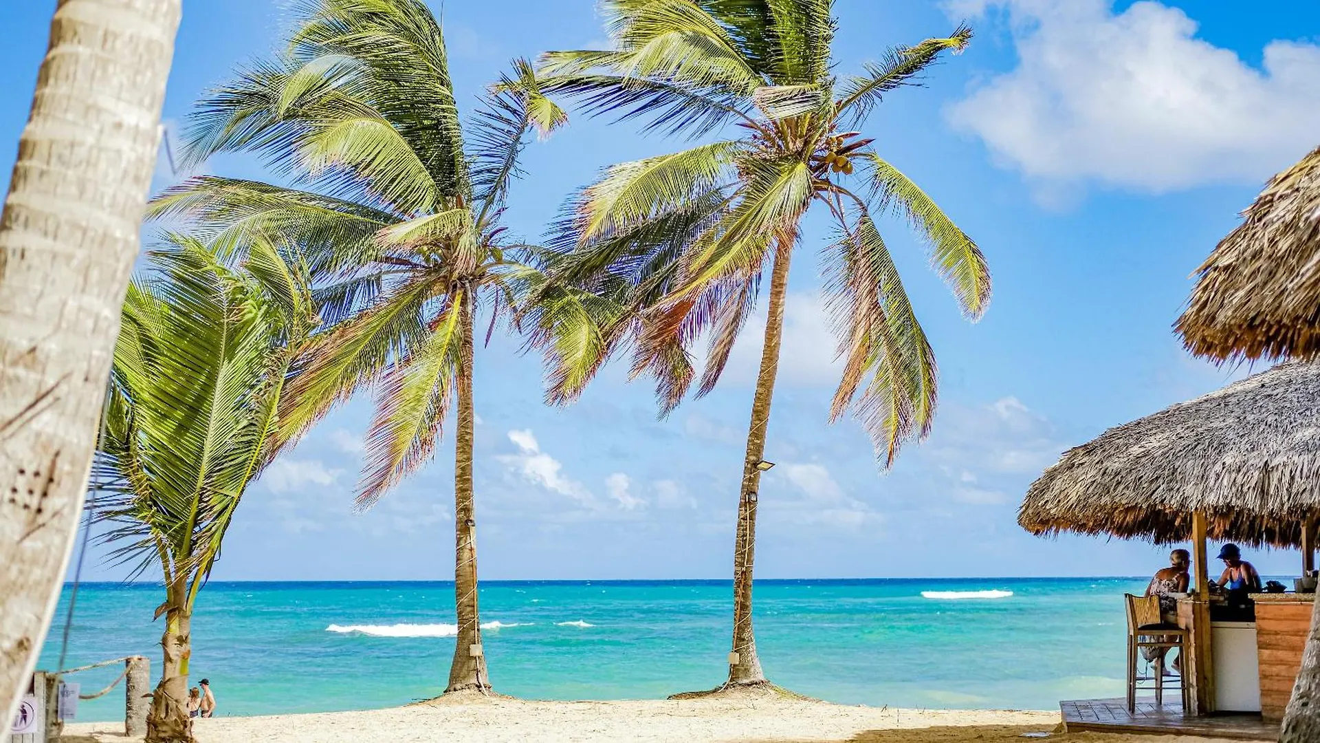 Playa Palmera Ocean View Punta Cana Apartment