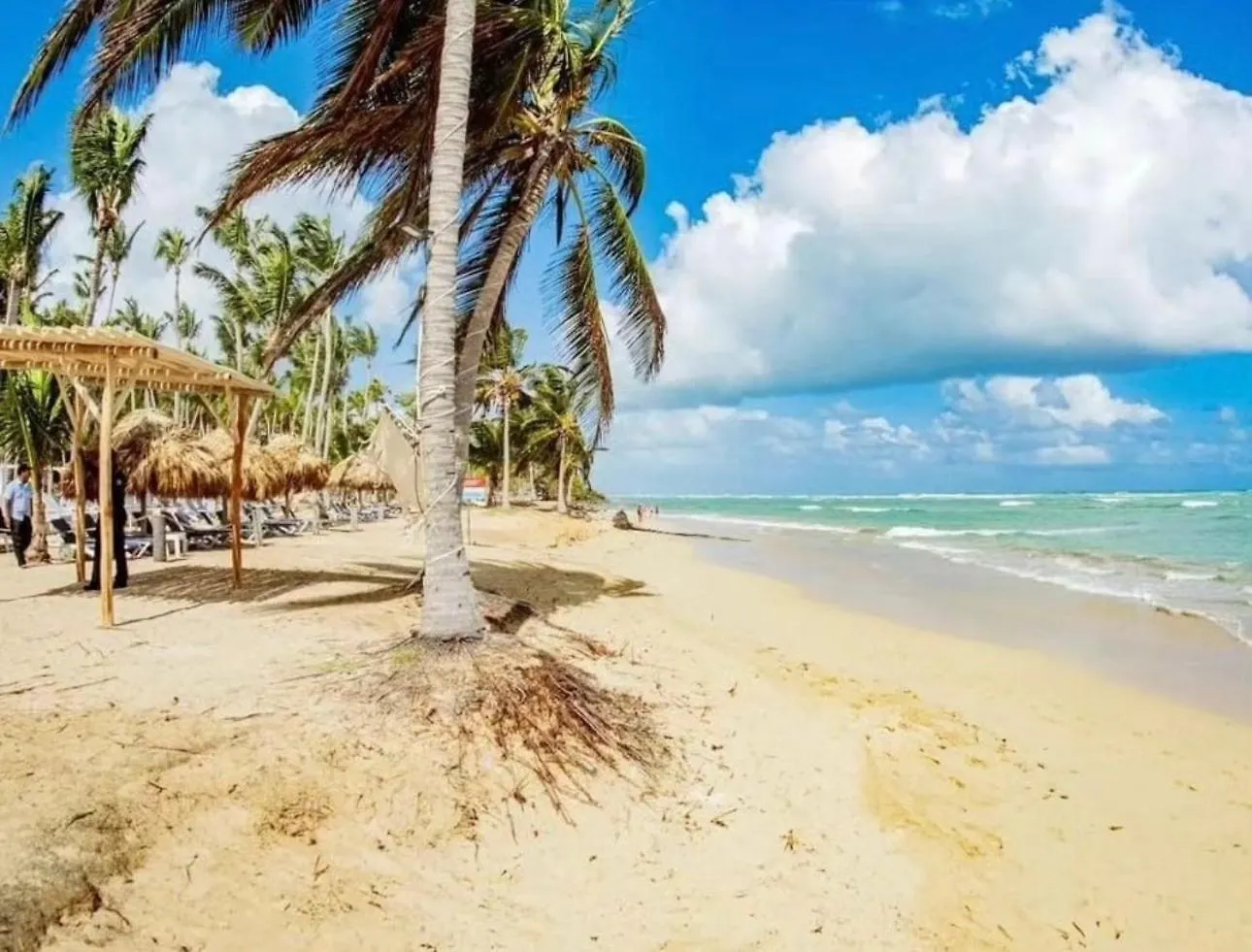 Playa Palmera Ocean View Punta Cana Apartment